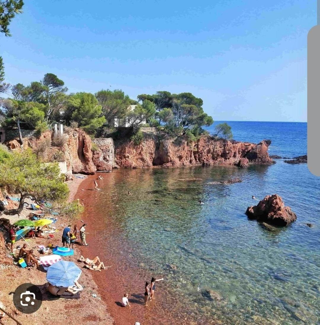 Appartement Classe 3 Etoiles A 150m De La Fréjus