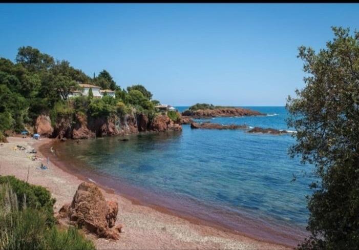 Classe 3 Etoiles A 150m De La * Fréjus